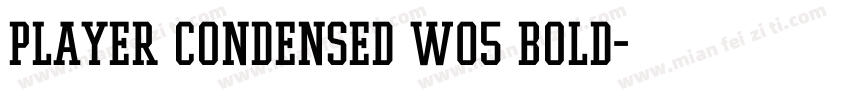 Player Condensed W05 Bold字体转换